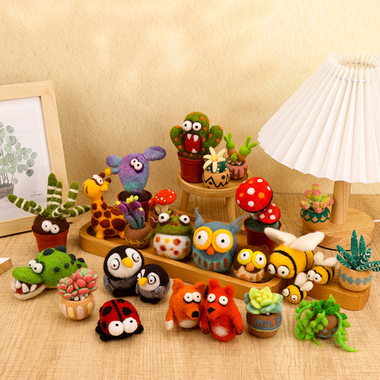 Needle Felting Kit, Succulent Beginner Needle Felting Kit