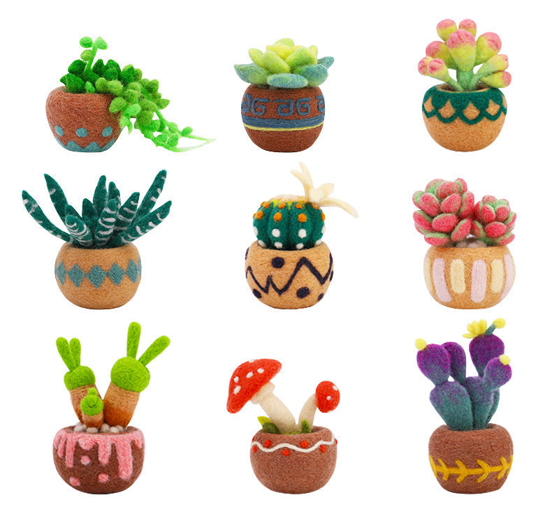 Needle Felting Kit, Succulent Beginner Needle Felting Kit
