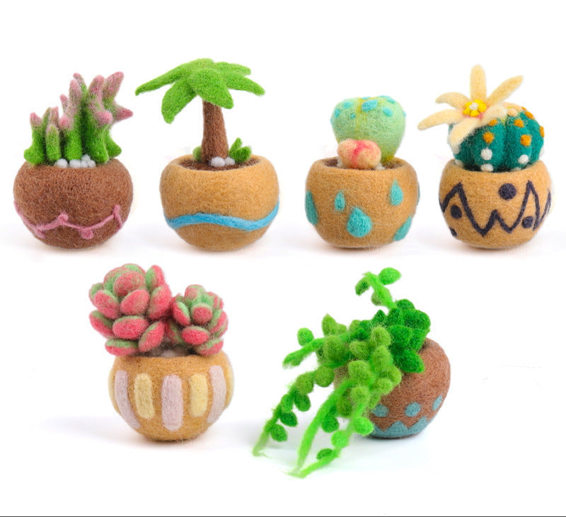 Needle Felting Kit, Succulent Beginner Needle Felting Kit
