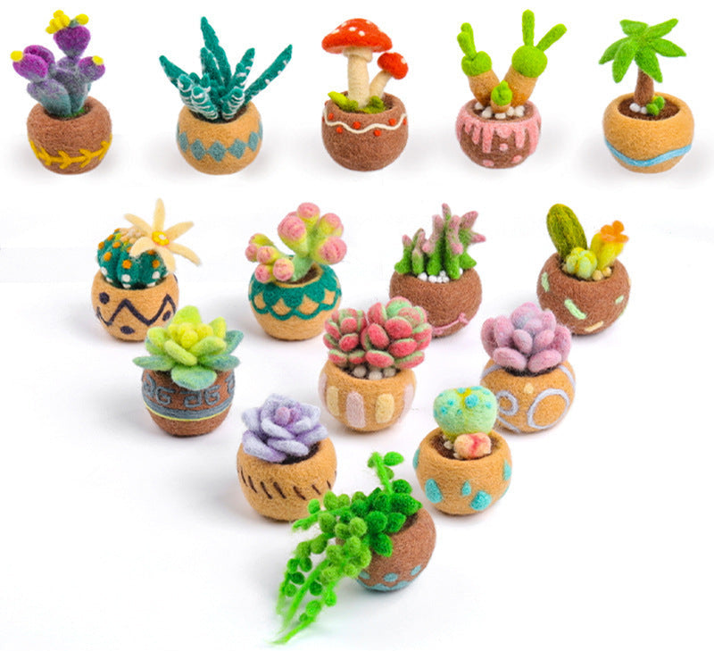 Needle Felting Kit, Succulent Beginner Needle Felting Kit