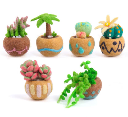 Needle Felting Kit, Succulent Beginner Needle Felting Kit